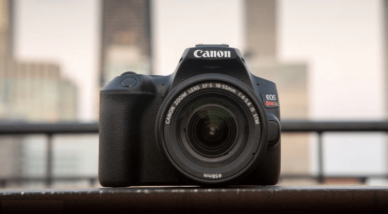 Top 8 DSLR Budget-Friendly Model In India