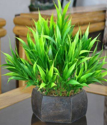 Fancy Mart Artificial Bamboo leaves with Pot